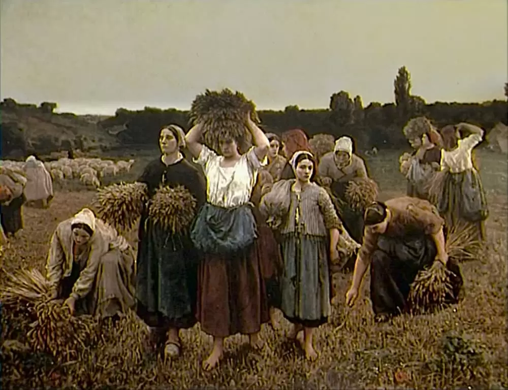 「落穂拾い」の画像