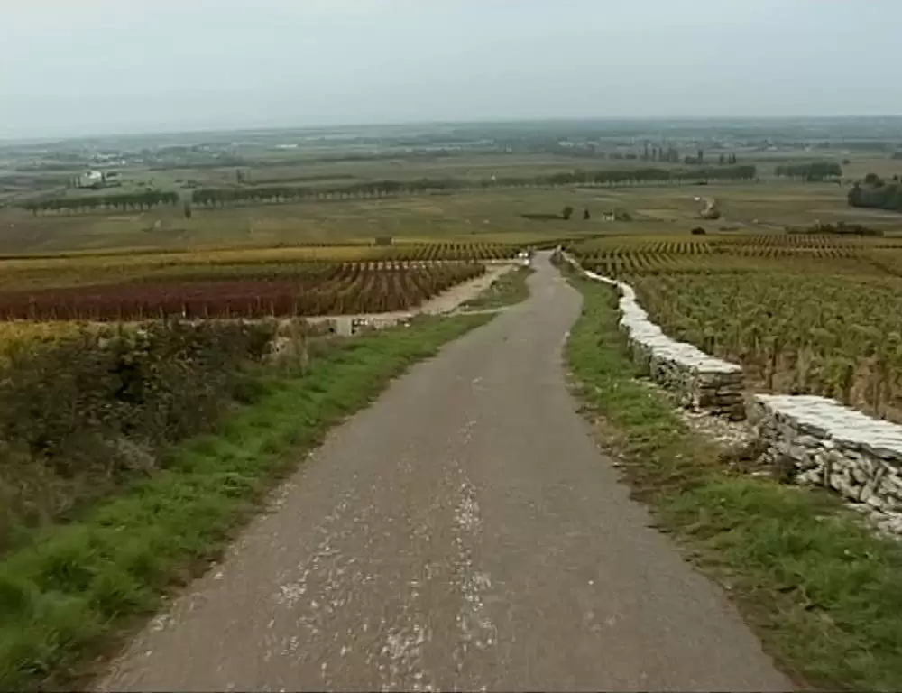 「落穂拾い」の画像