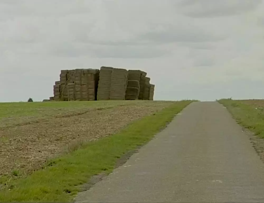 「落穂拾い」の画像