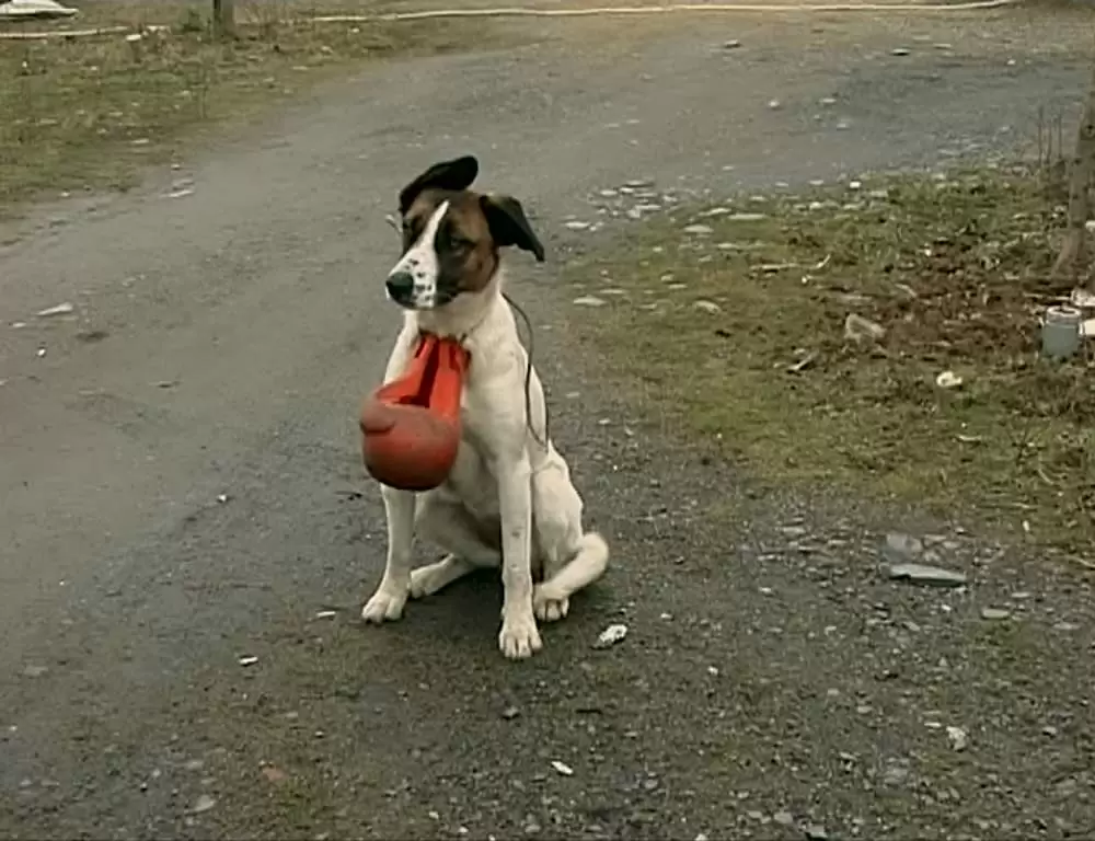 「落穂拾い」の画像
