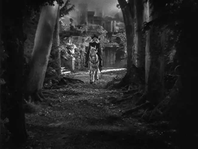 美女と野獣の画像