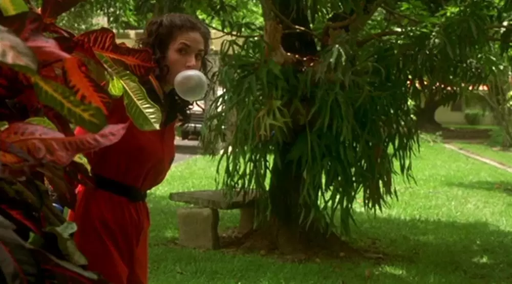 フェティッシュの画像