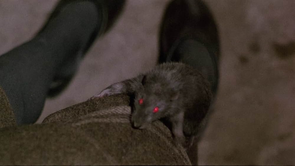 Violenza in un carcere femminile（原題）の画像