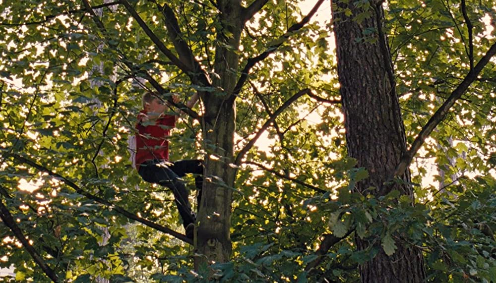 少年と自転車の画像