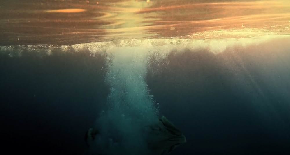 オゾンビの画像