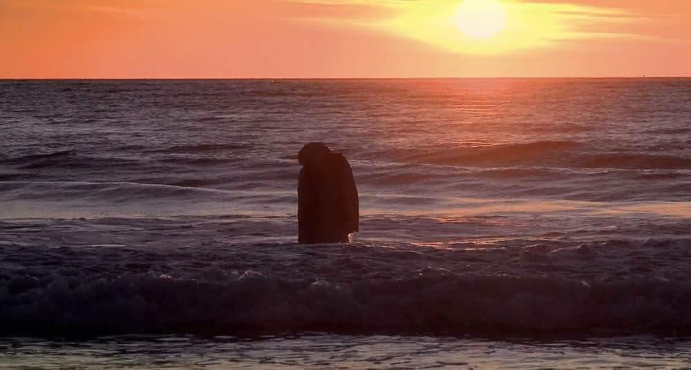 オゾンビの画像