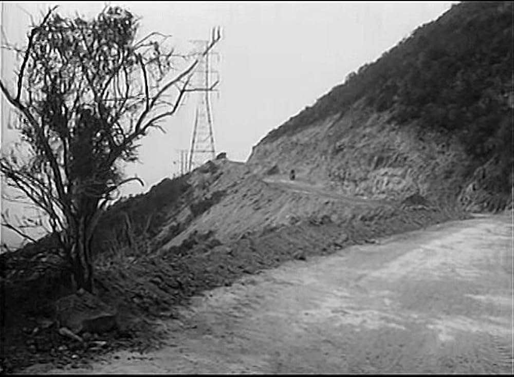 Wild Guitar（原題）の画像