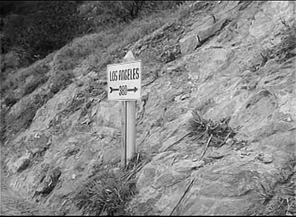 Wild Guitar（原題）の画像