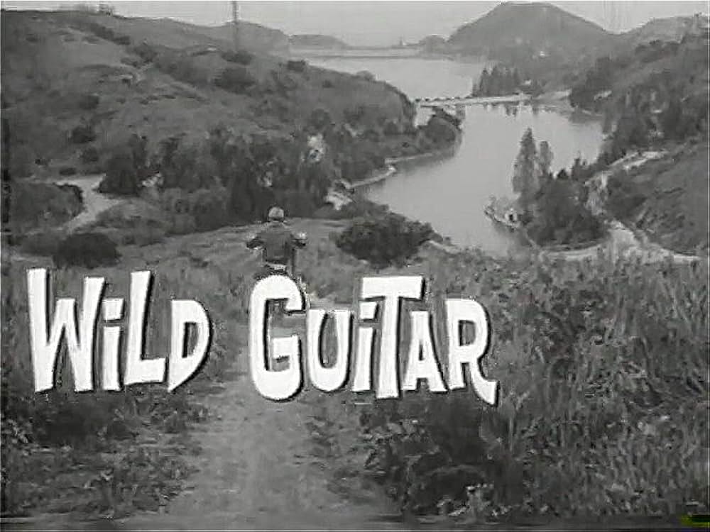 Wild Guitar（原題）の画像