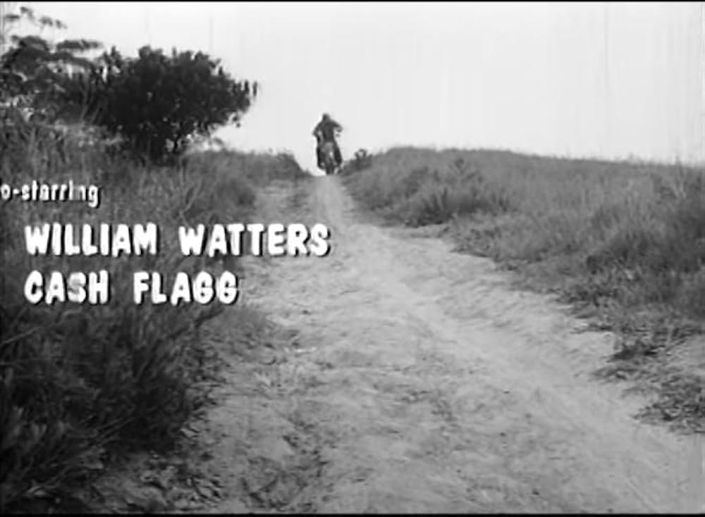 Wild Guitar（原題）の画像