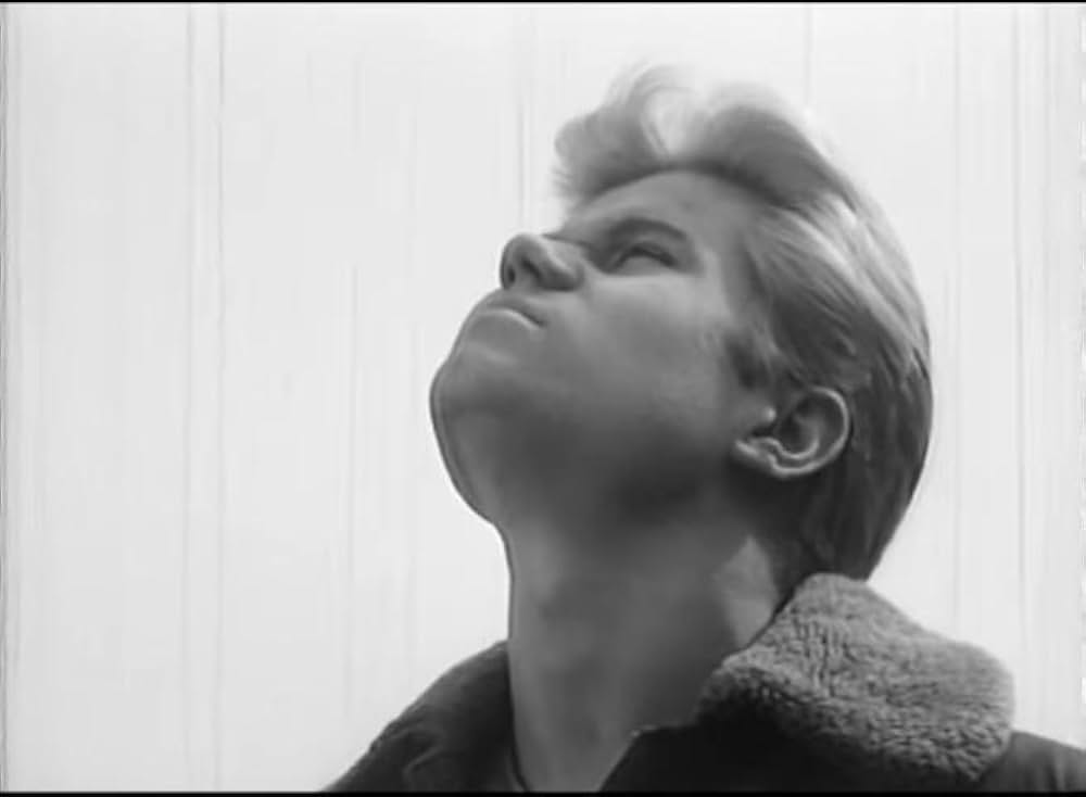 Wild Guitar（原題）の画像