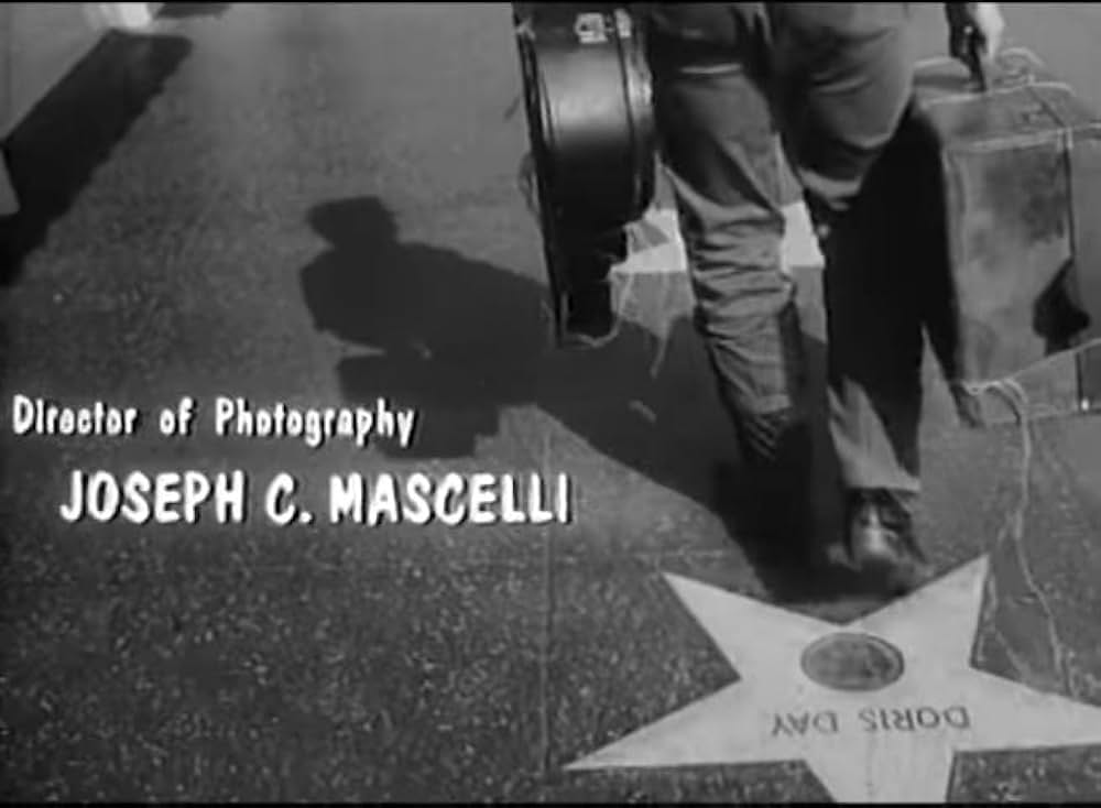 Wild Guitar（原題）の画像