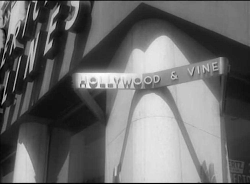 Wild Guitar（原題）の画像