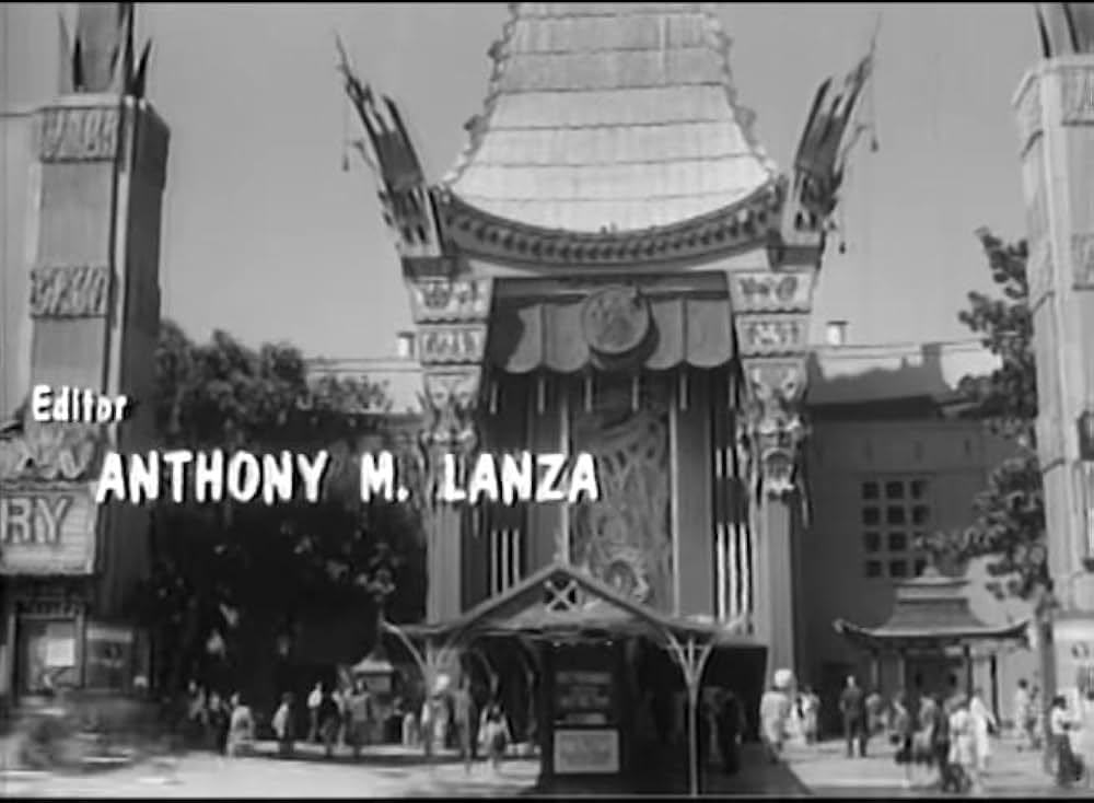 Wild Guitar（原題）の画像