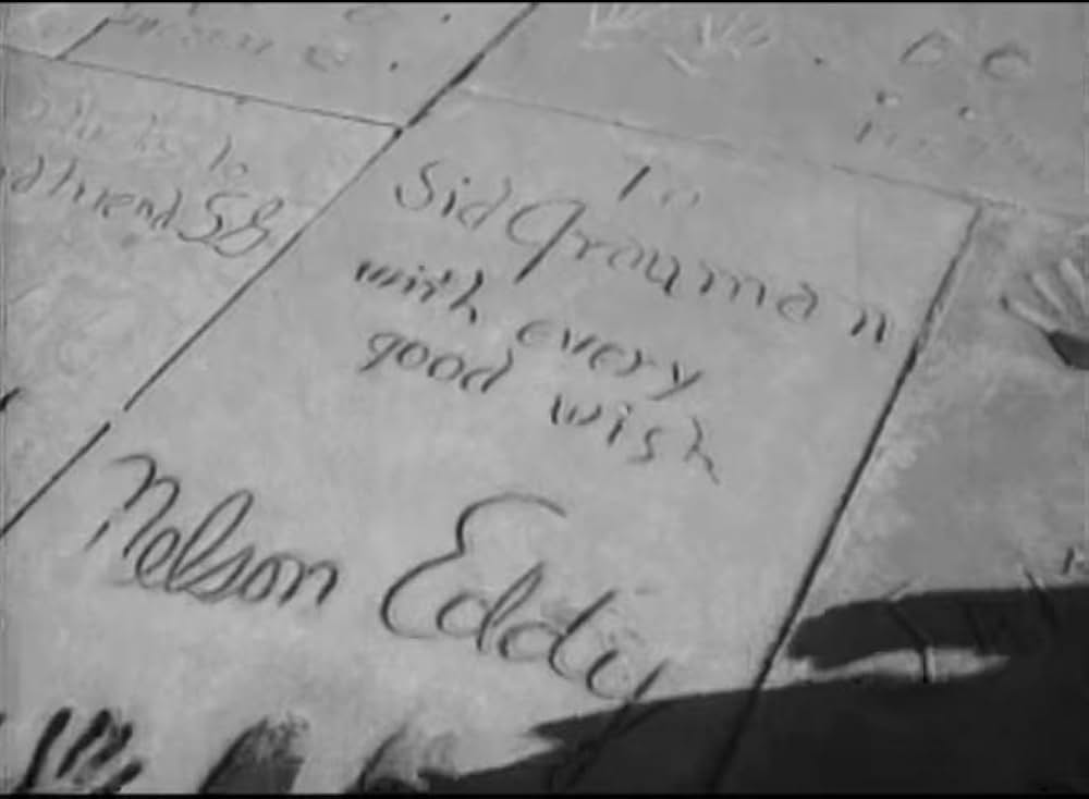 Wild Guitar（原題）の画像