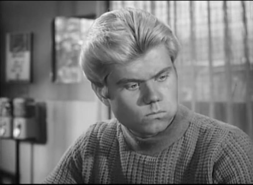 Wild Guitar（原題）の画像