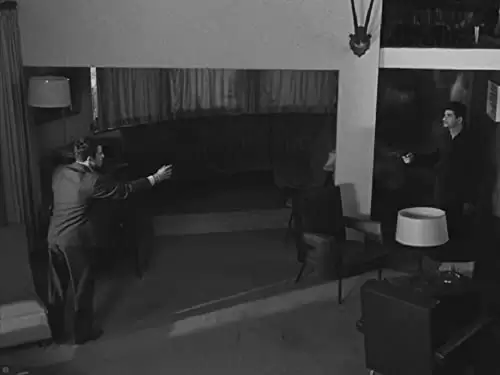 いとこ同志の画像