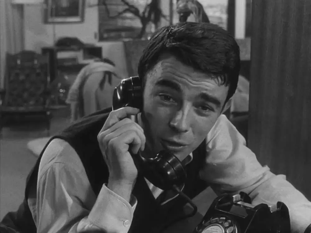 いとこ同志の画像