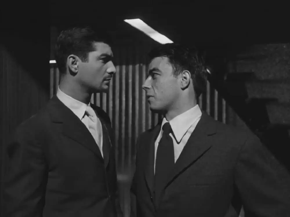 いとこ同志の画像