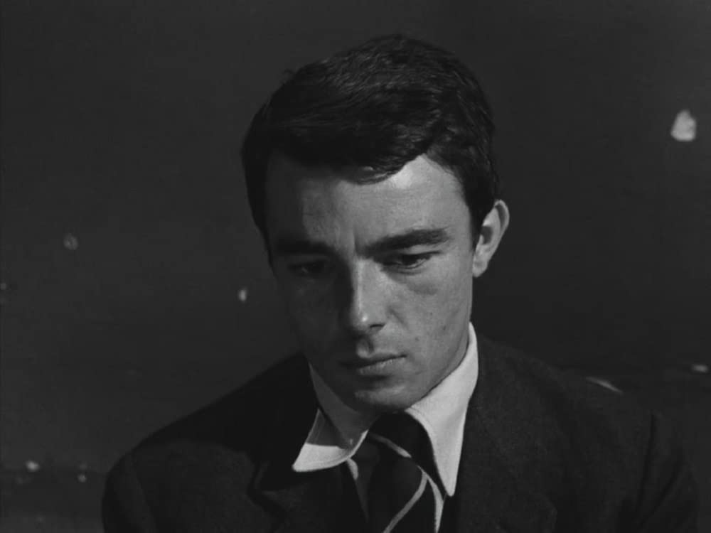 いとこ同志の画像