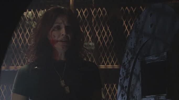 スターシップ・トゥルーパーズ2の画像