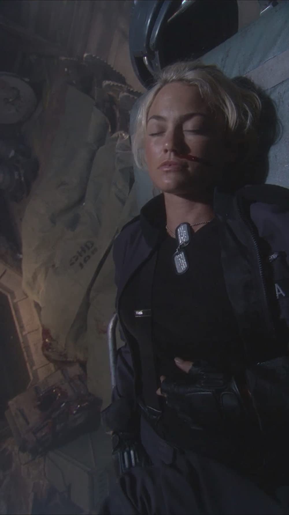 スターシップ・トゥルーパーズ2の画像