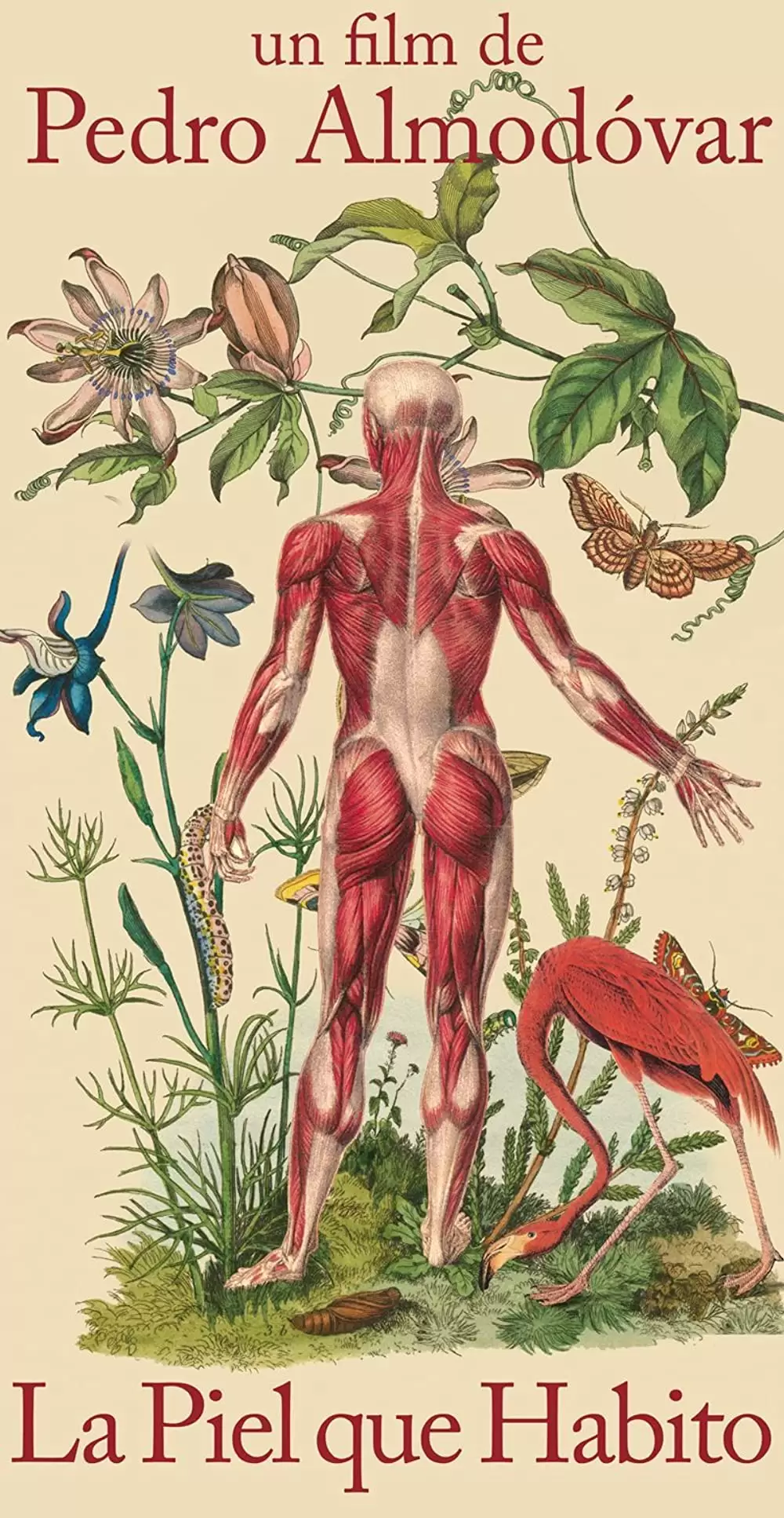 私が、生きる肌の画像