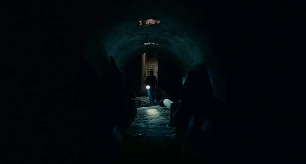 私が、生きる肌の画像