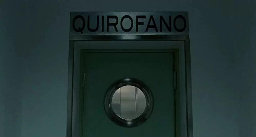 私が、生きる肌の画像