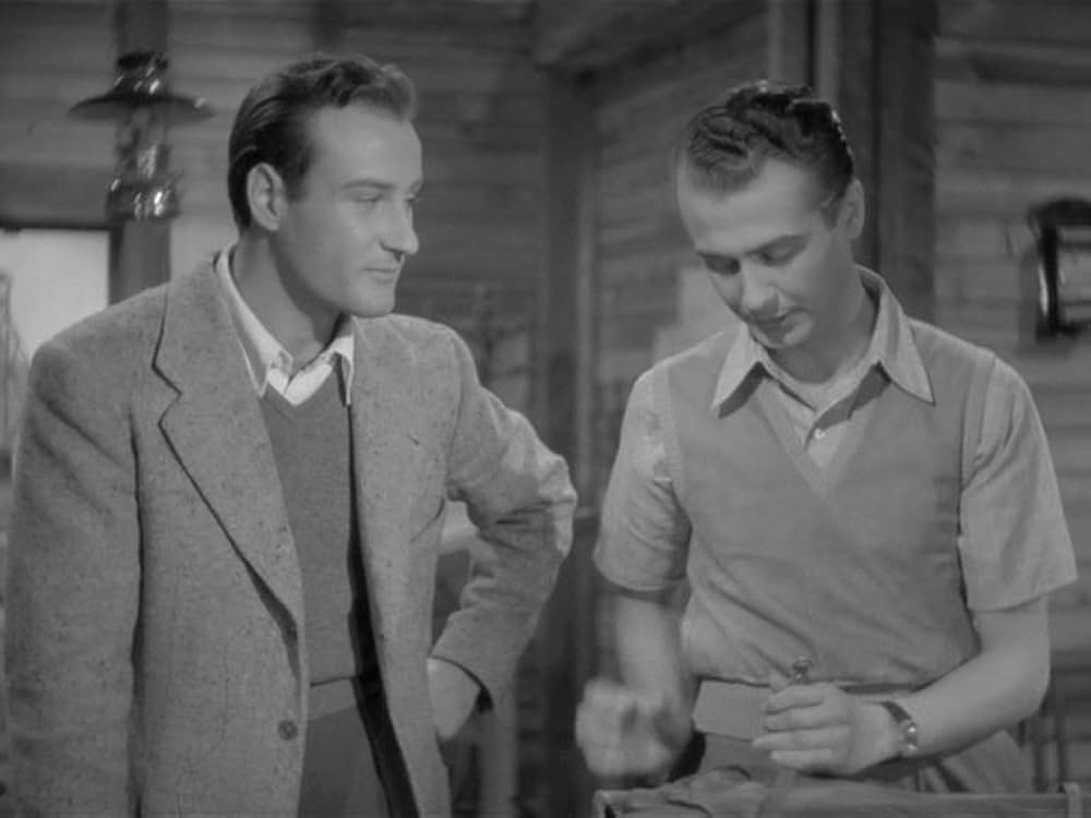 Violette nei capelli（原題）の画像