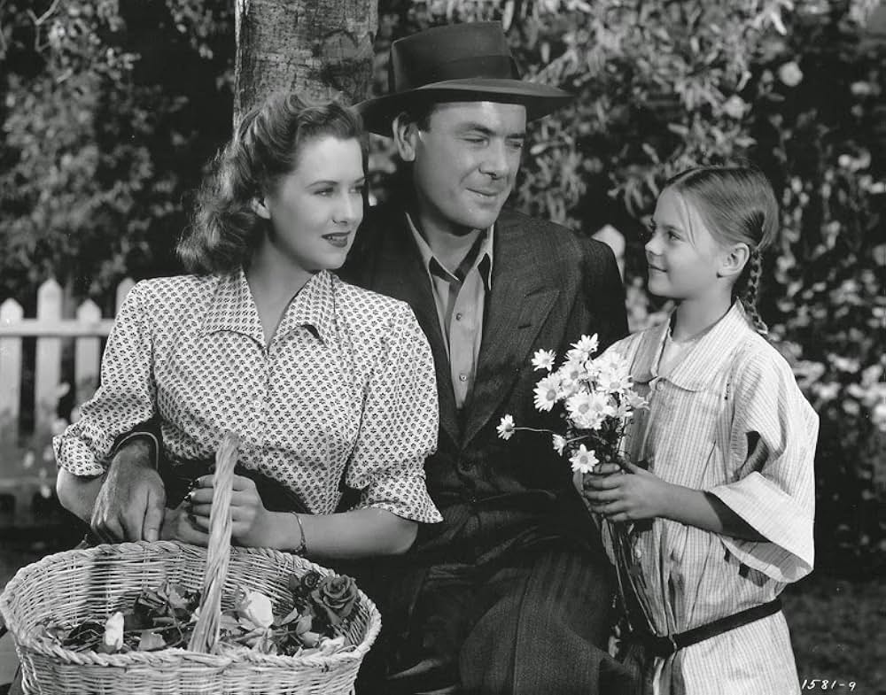 Driftwood（原題）の画像