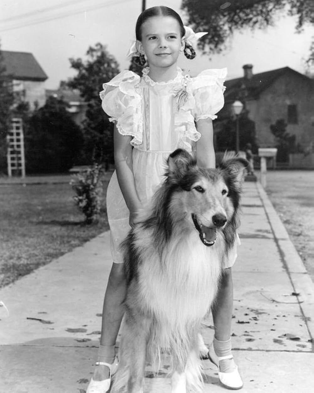 Driftwood（原題）の写真