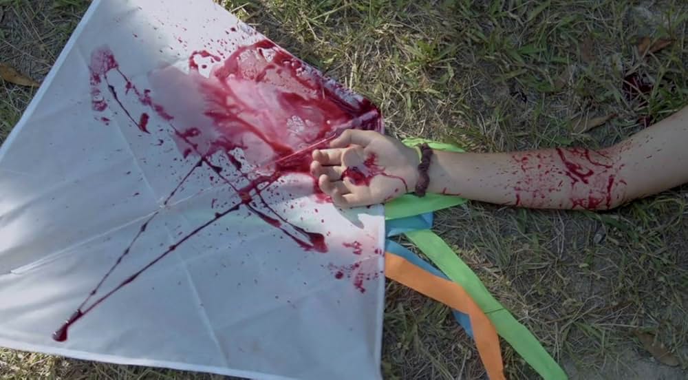 Killer Kites（原題）の画像