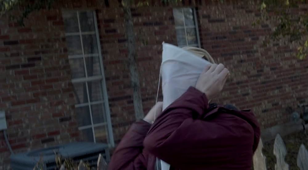 Killer Kites（原題）の画像