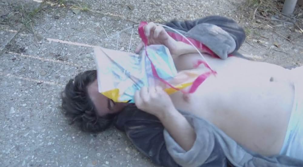 Killer Kites（原題）の画像