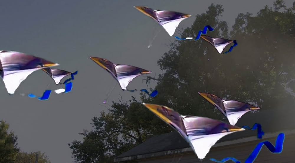 Killer Kites（原題）の画像