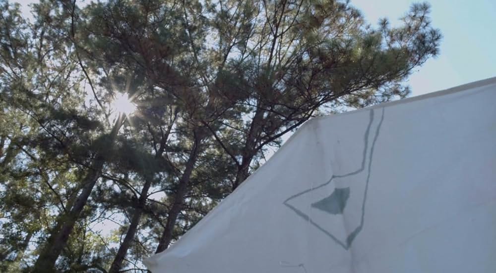 Killer Kites（原題）の画像