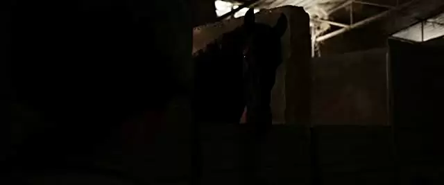 シシリアン・ゴースト・ストーリーの画像