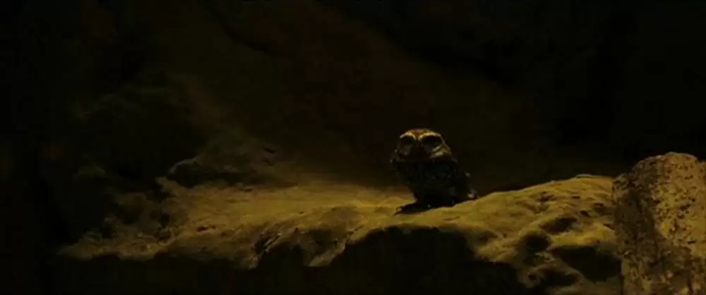 シシリアン・ゴースト・ストーリーの画像