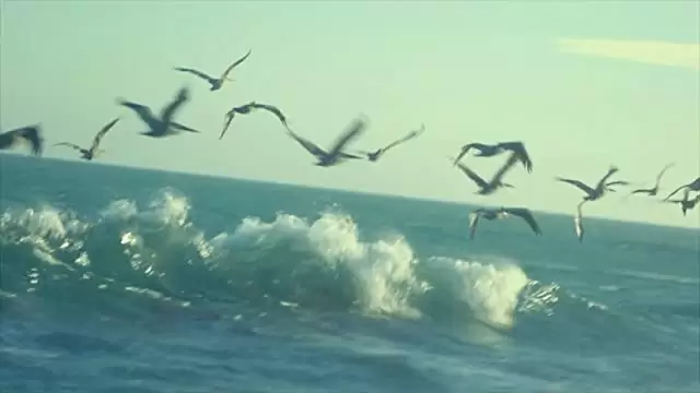 クリミナル・タウンの画像