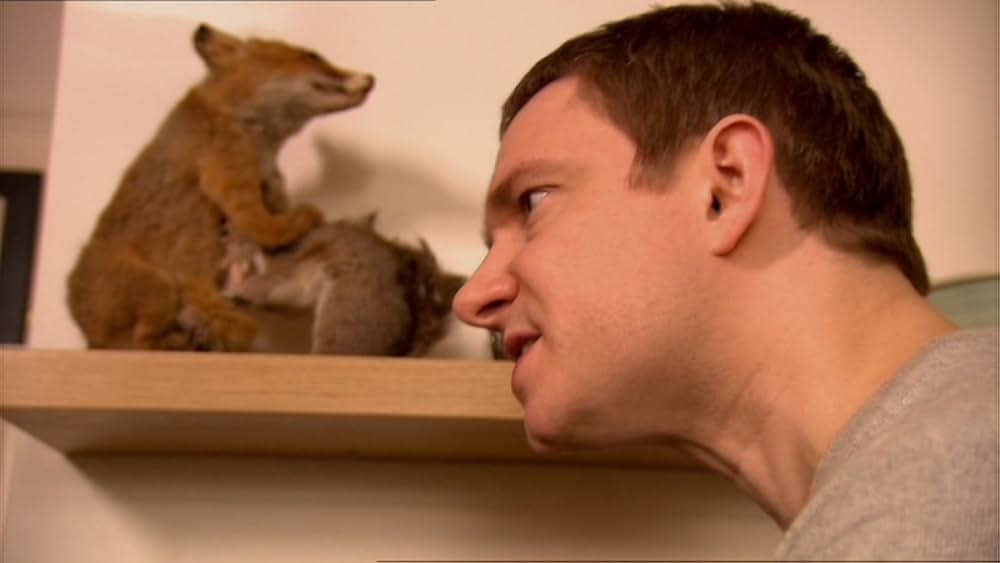 The All Together（原題）の画像