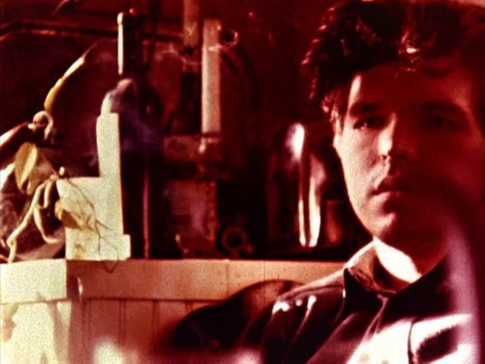 猫のゆりかごの画像