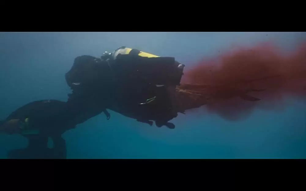 ディープ・ブルー3の画像