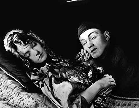 散り行く花の画像