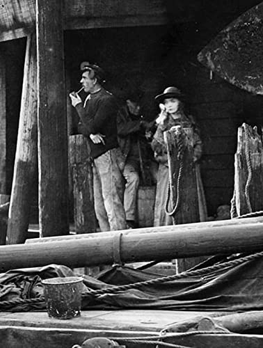 散り行く花の画像