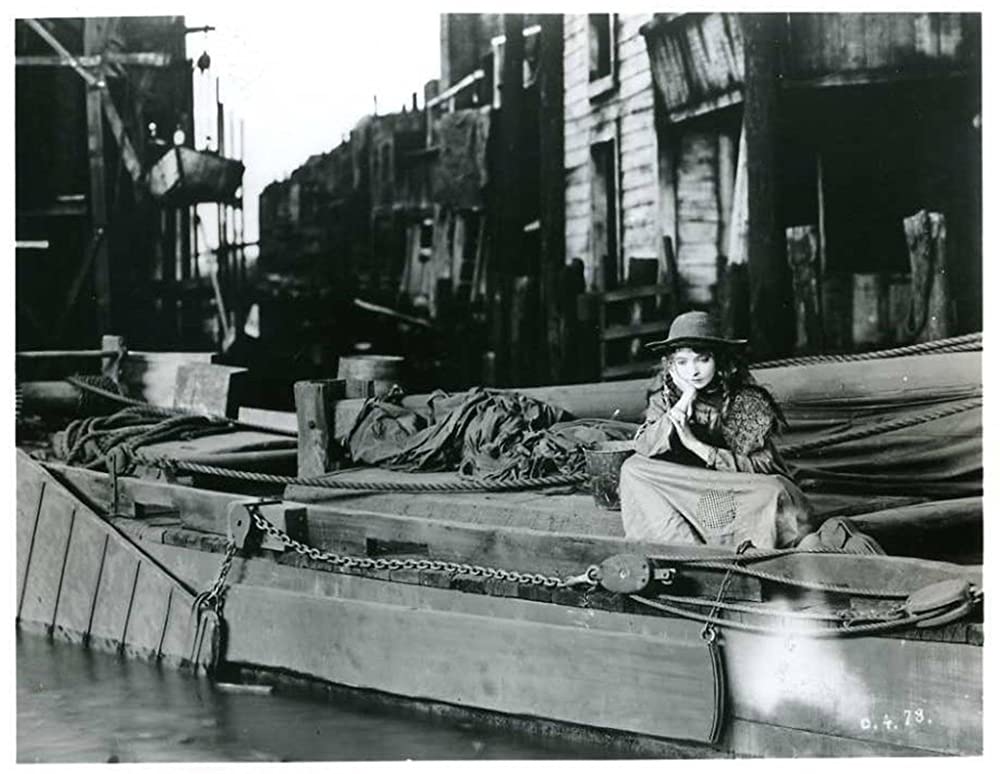 散り行く花の画像