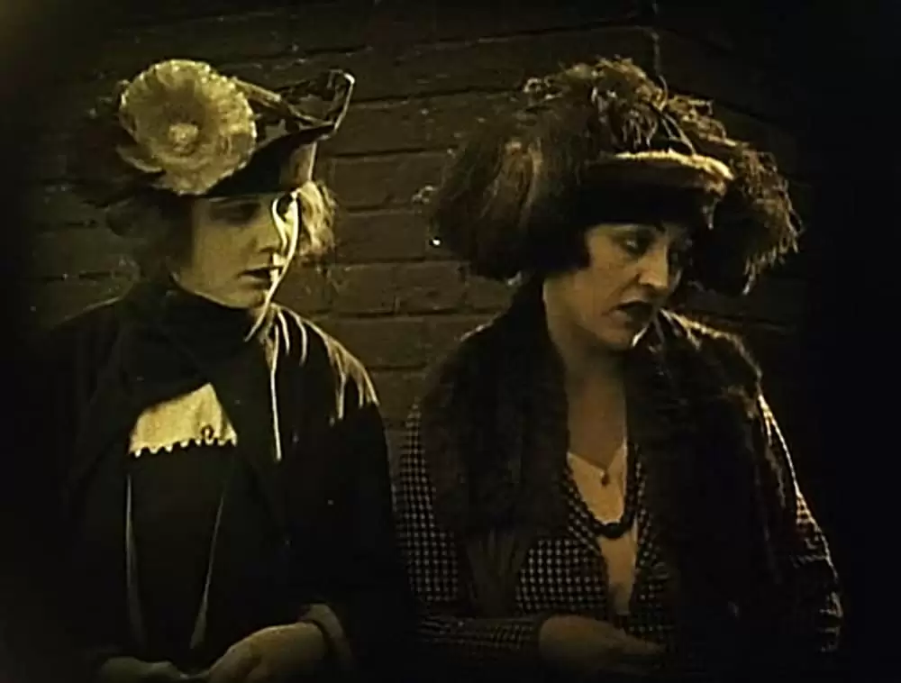 散り行く花の画像