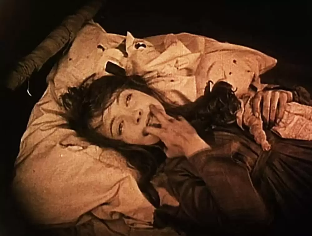 「散り行く花」リリアン・ギッシュの画像