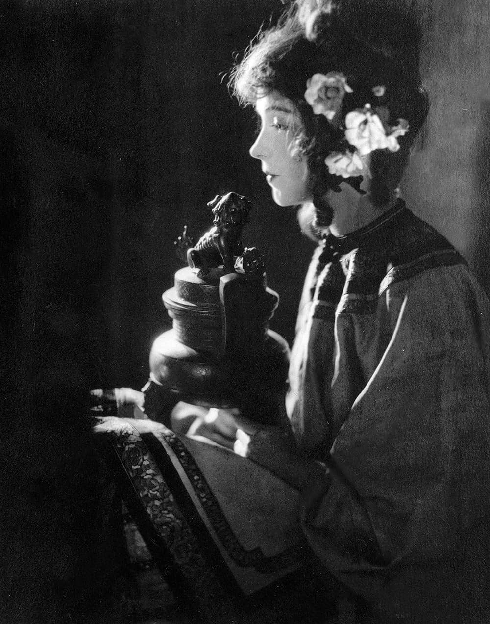 散り行く花の画像