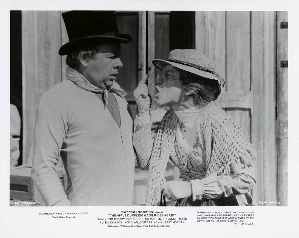 The Apple Dumpling Gang Rides Again（原題）の画像